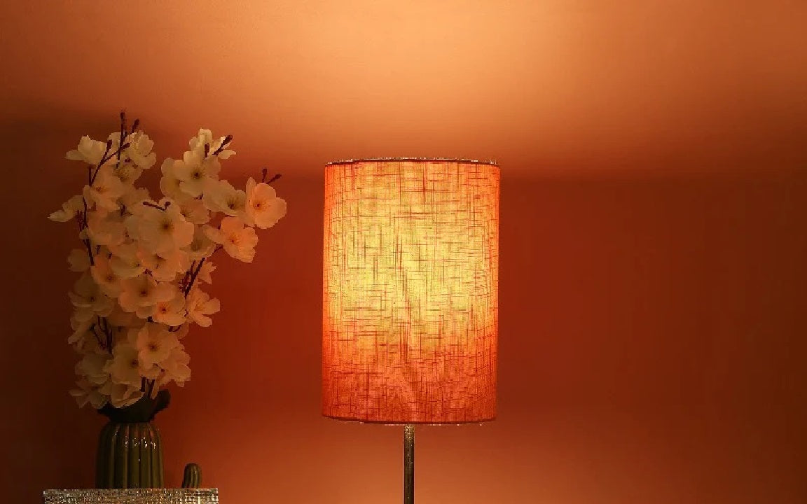 Why this is the Best Lamp Shade You'll Ever Buy