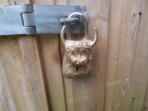 Brass Highland Cattle Padlock